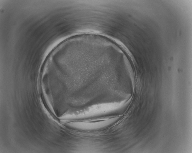 X0000083981295200703161547