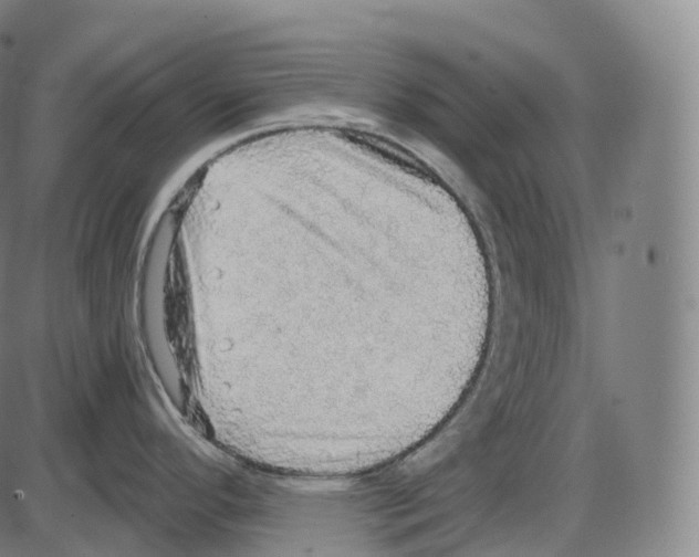 X0000083981296200703161547