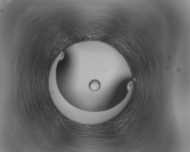 X0000083981298200703161546