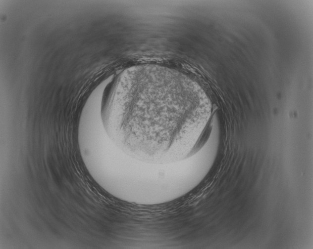 X0000083981300200703161546