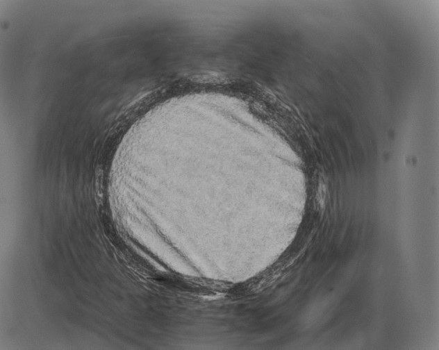 X0000083981301200703161546