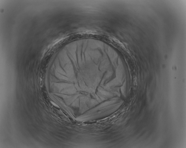 X0000083981303200703161546