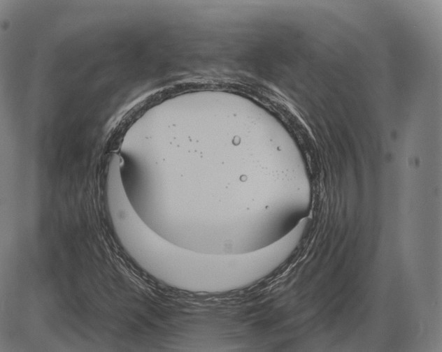 X0000083981304200703161547