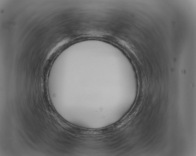 X0000083981307200703161547