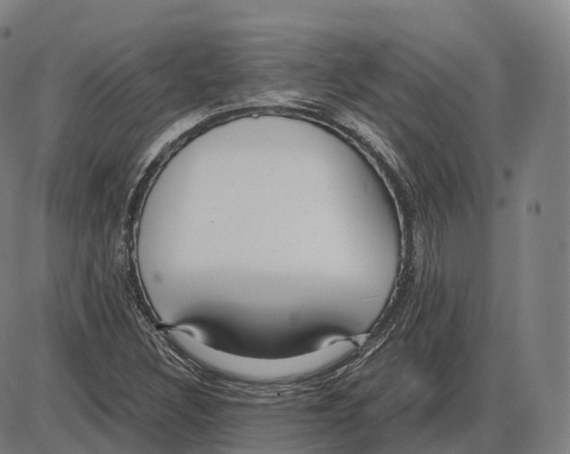 X0000083981308200703161547