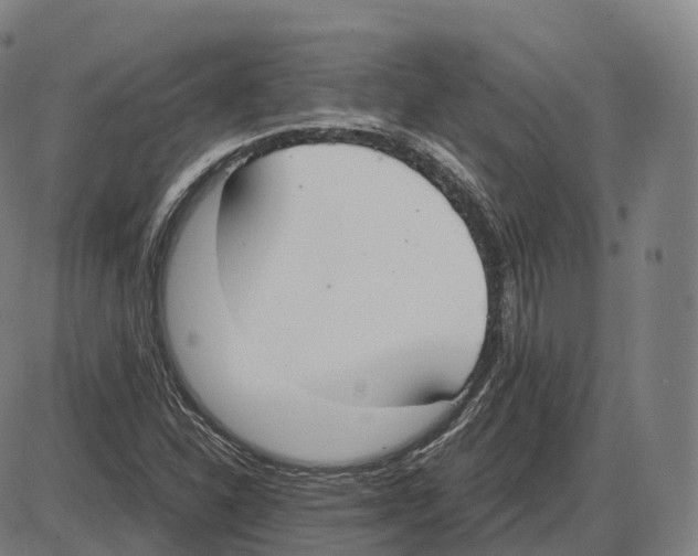 X0000083981310200703161547