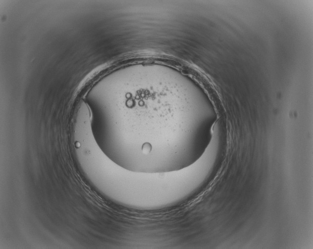 X0000083981314200703161547