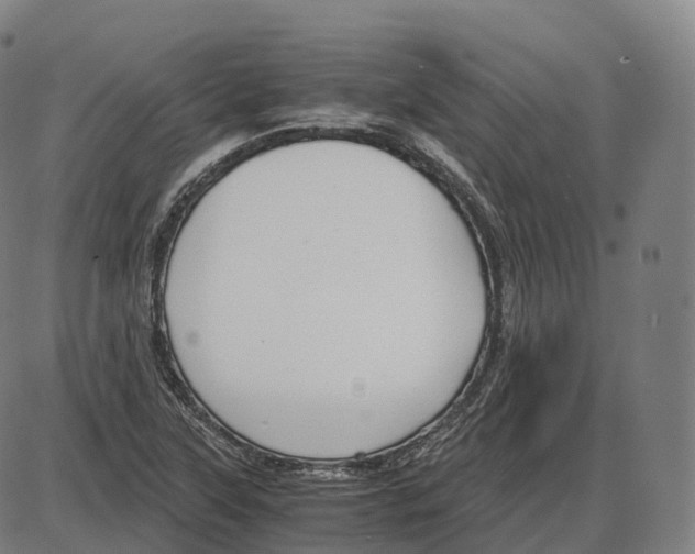 X0000083981315200703161547