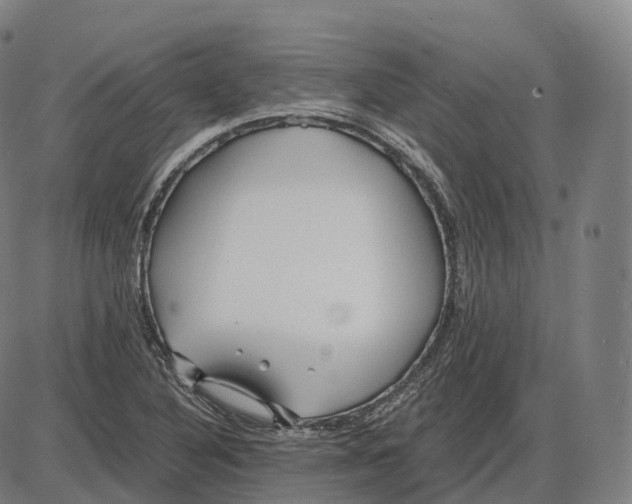 X0000083981316200703161547