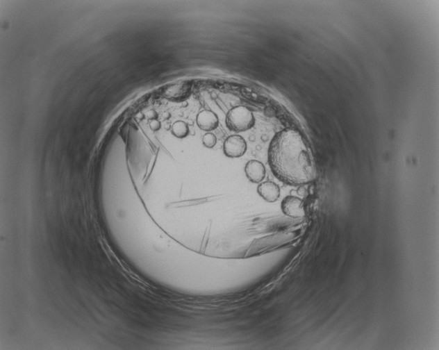 X0000083981318200703161547