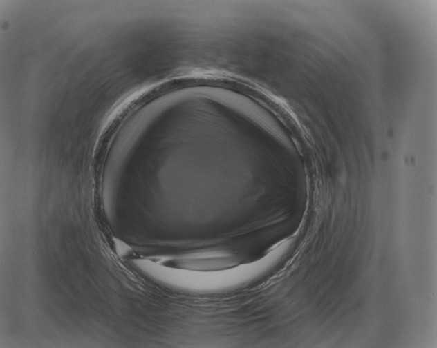 X0000083981319200703161547