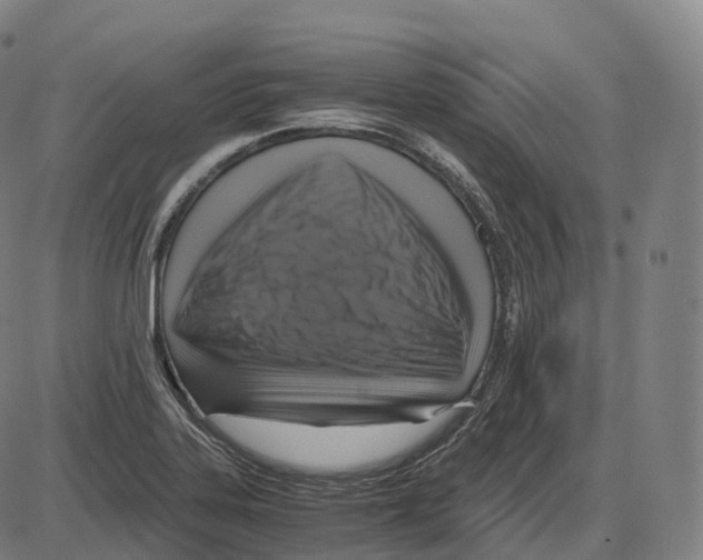 X0000083981323200703161547