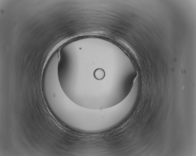 X0000083981324200703161547