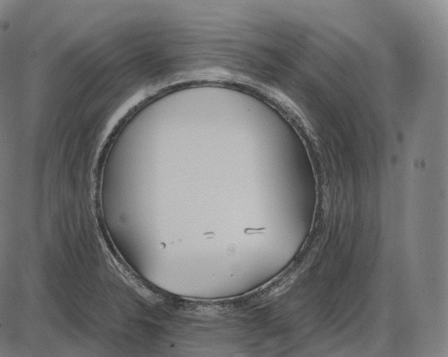 X0000083981326200703161547