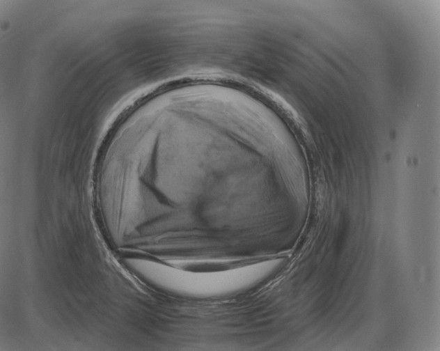 X0000083981327200703161547