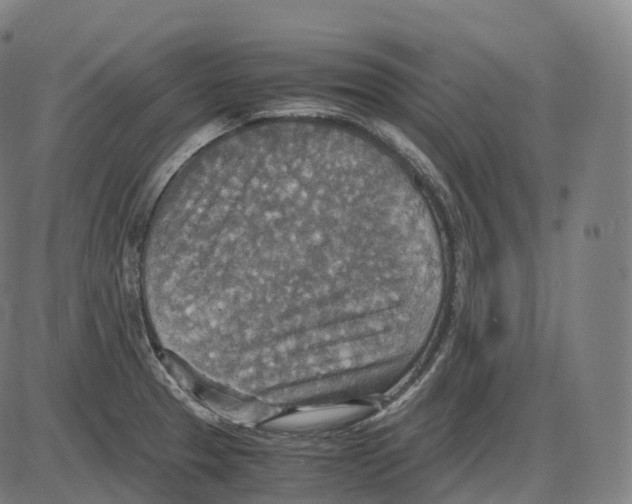 X0000083981329200703161547