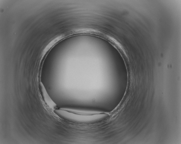 X0000083981330200703161547