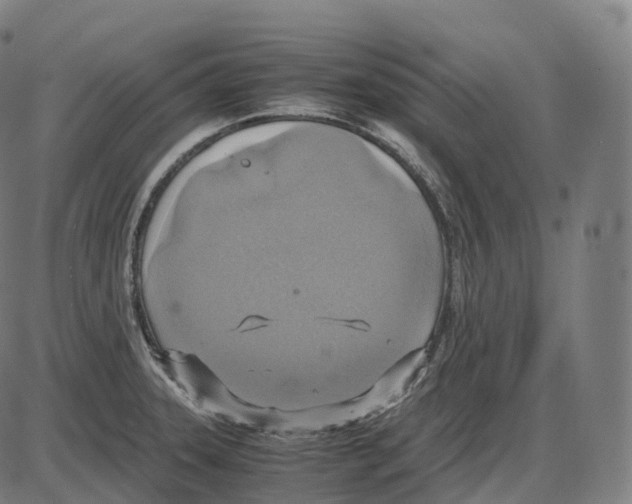 X0000083981331200703161547