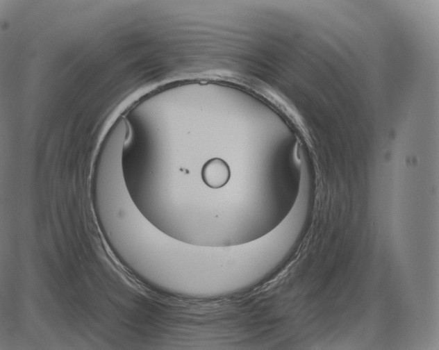 X0000083981332200703161547