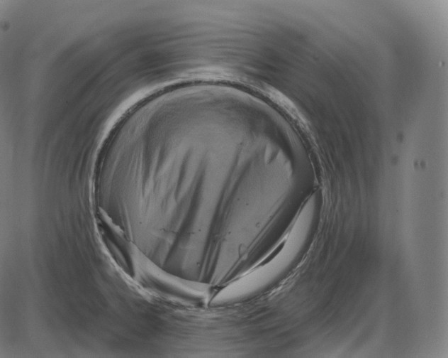 X0000083981334200703161547