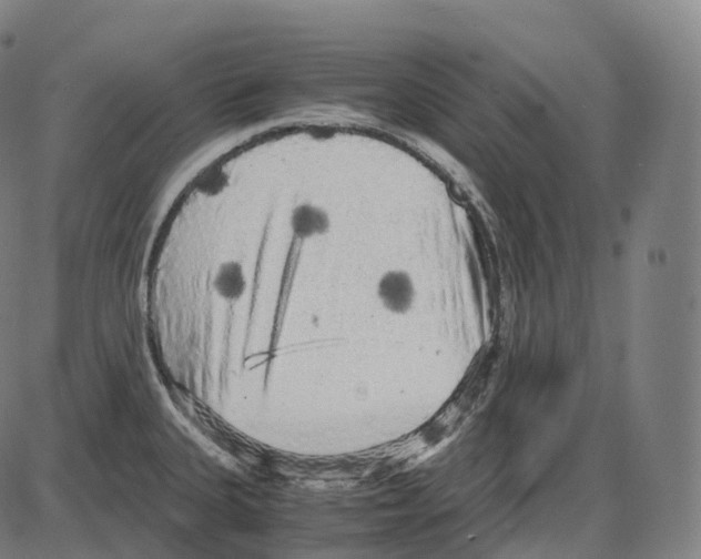 X0000083981335200703161547