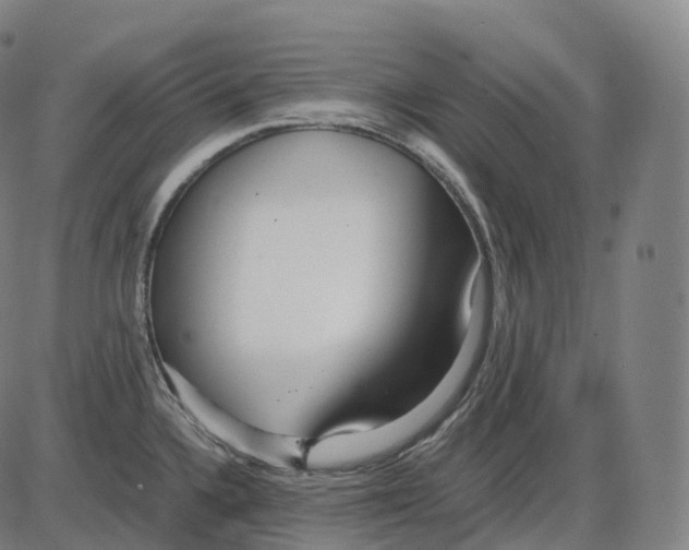 X0000083981336200703161547