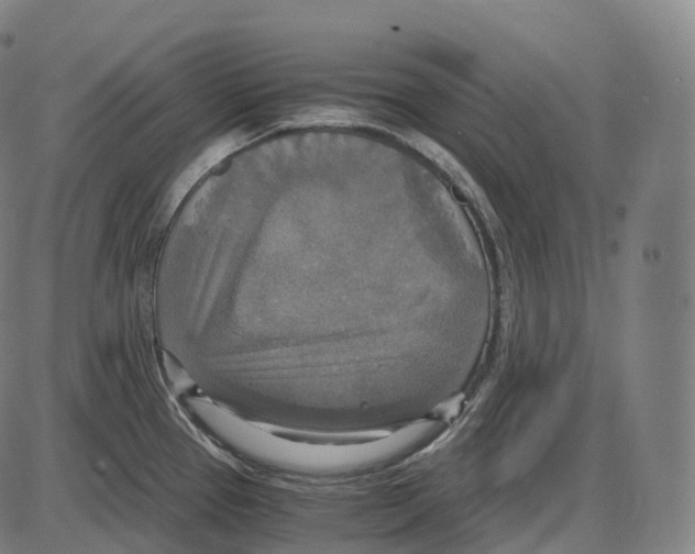 X0000083981337200703161547