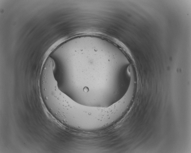 X0000083981338200703161547