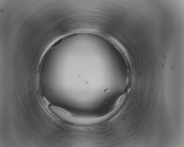 X0000083981340200703161547