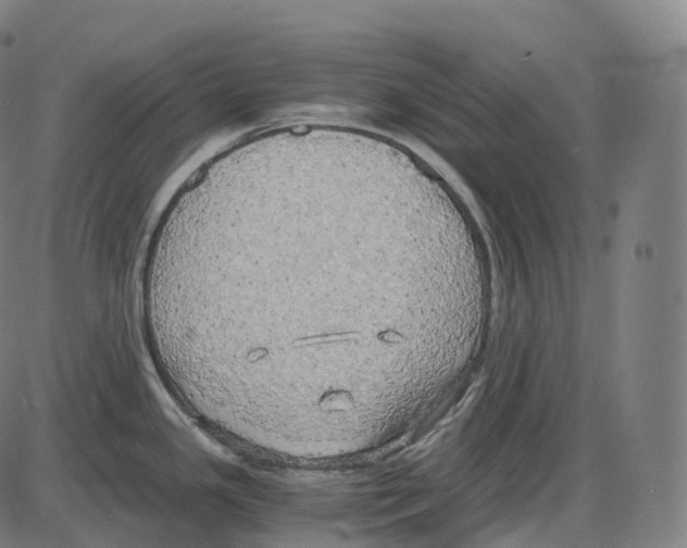 X0000083981341200703161547