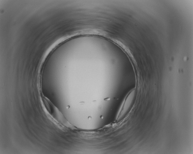 X0000083981342200703161547