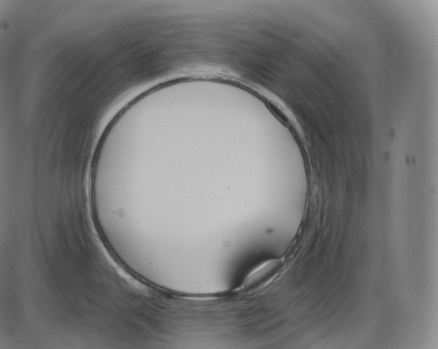 X0000083981343200703161547