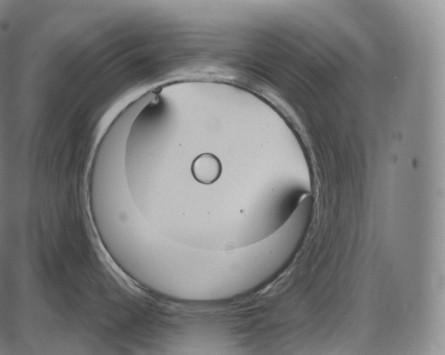 X0000083981344200703161547