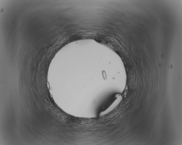 X0000083981345200703161546