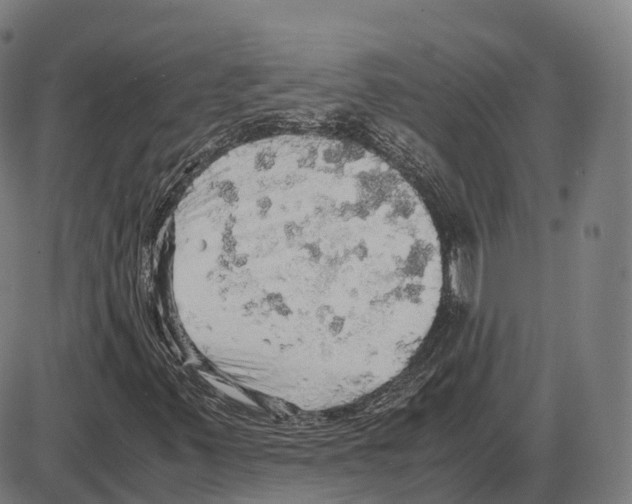 X0000083981347200703161546