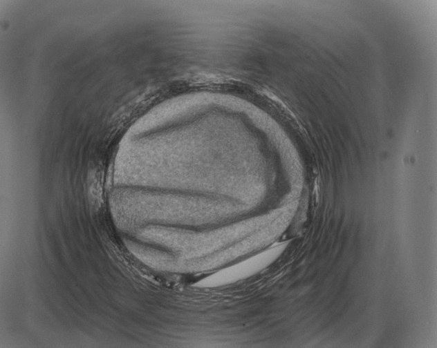 X0000083981348200703161546