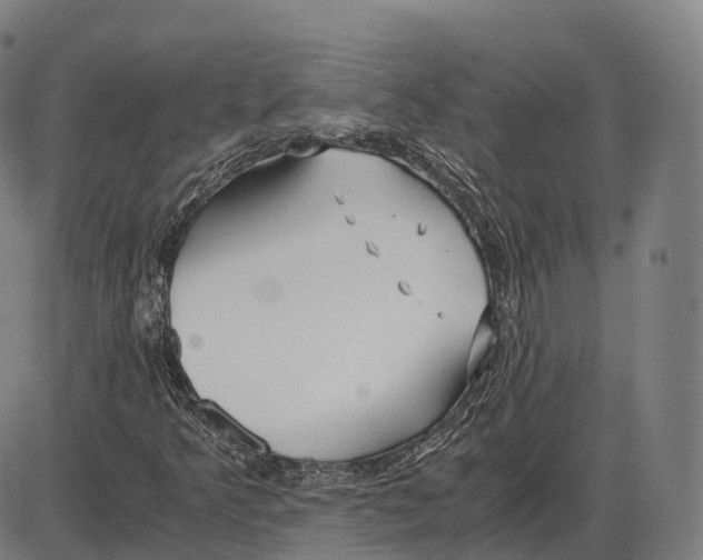 X0000083981349200703161546