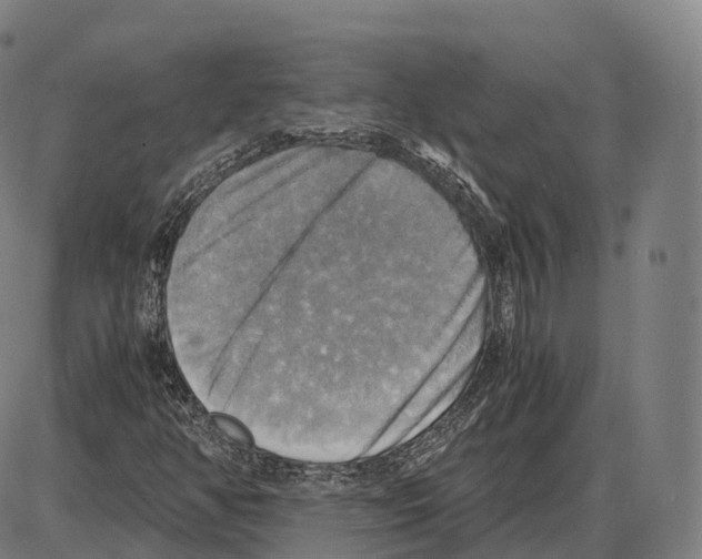 X0000083981350200703161546