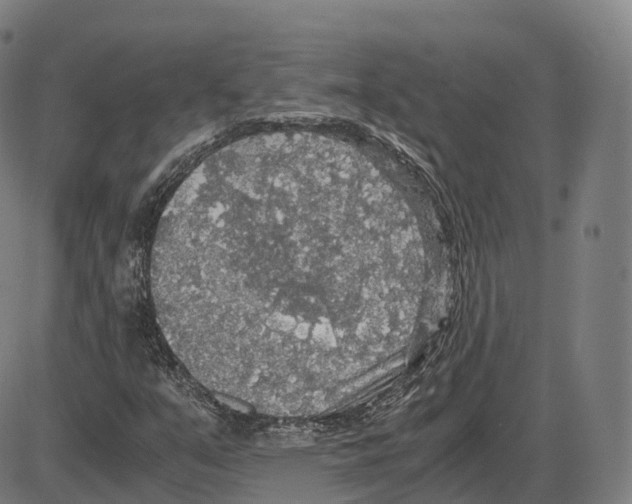 X0000083981351200703161546