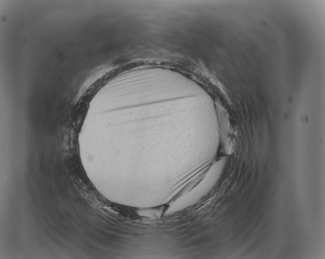 X0000083981352200703161546