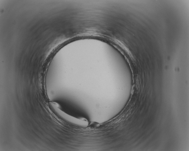 X0000083981356200703161546