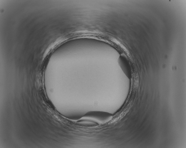 X0000083981357200703161546