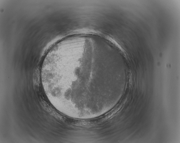 X0000083981358200703161546