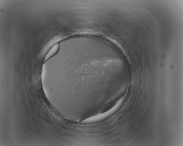 X0000083981359200703161546