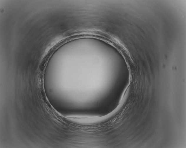 X0000083981360200703161546