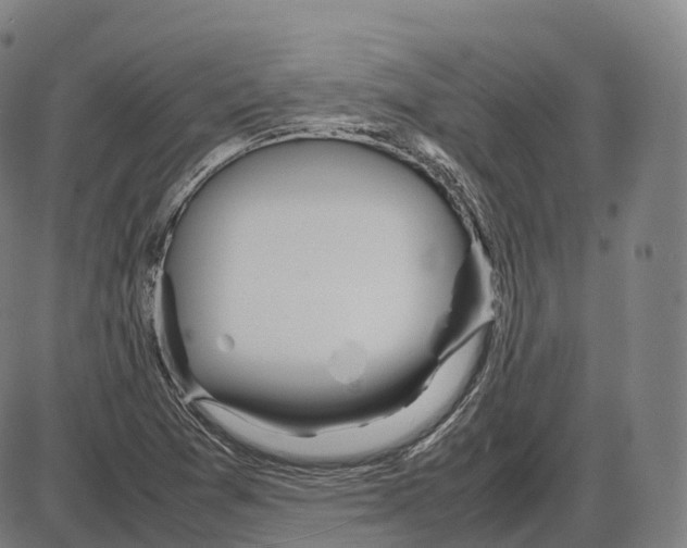 X0000083981361200703161546