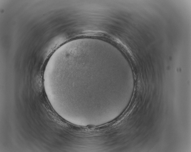 X0000083981362200703161546