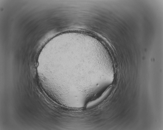 X0000083981363200703161546