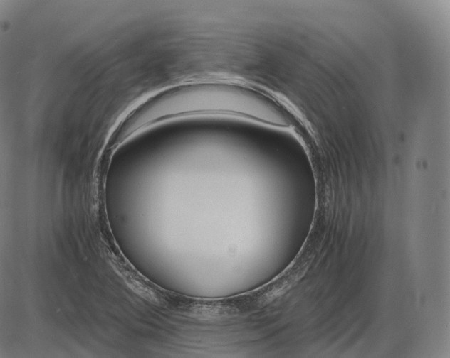 X0000083981364200703161546