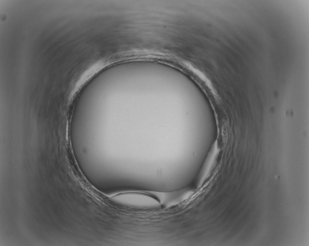 X0000083981365200703161546